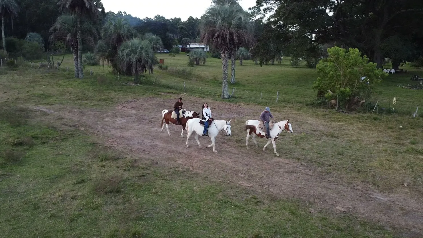 Jinetes cabalgando por un sendero entre palmeras