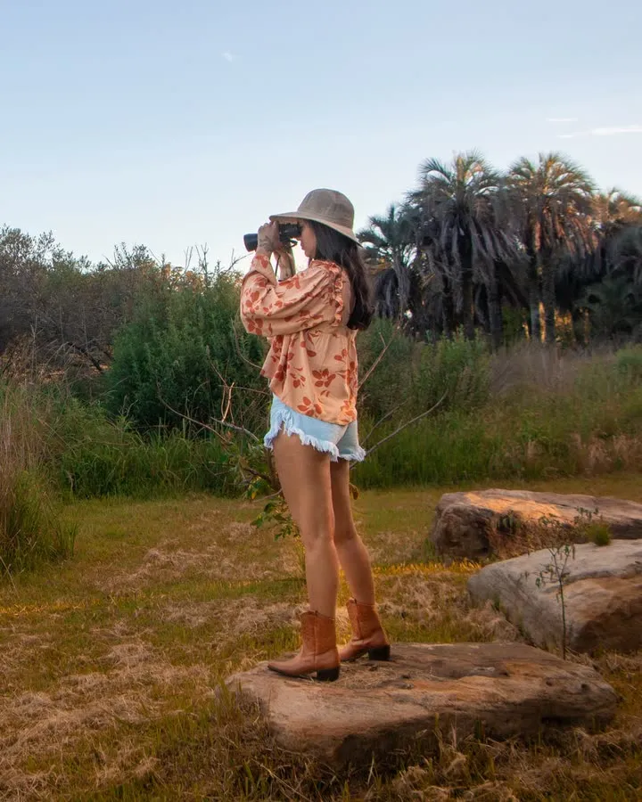Avistaje de aves en un campo con flores silvestres al atardecer